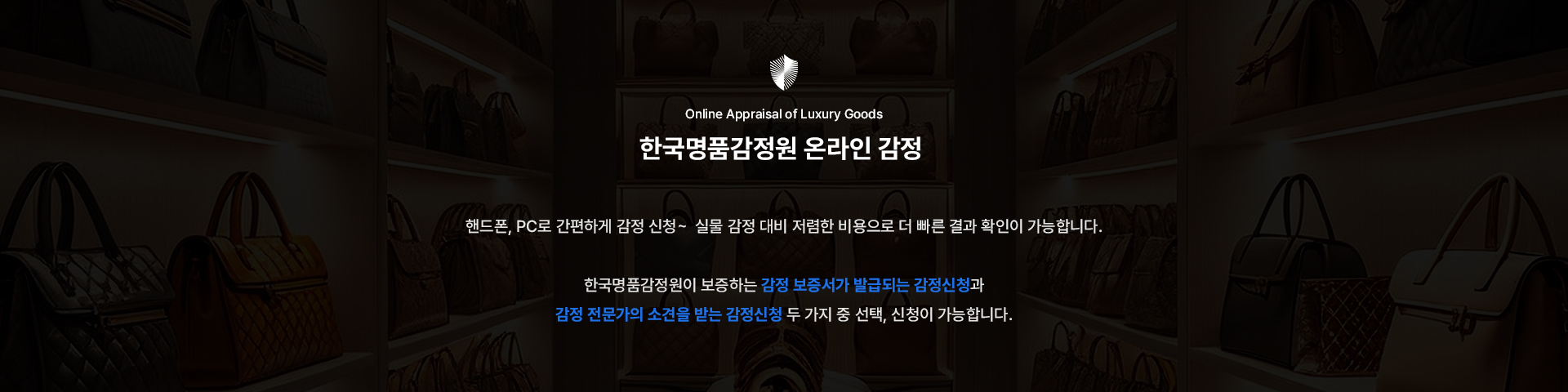 main banner01
